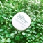 Herb No-Sebum Powder - Матирующая пудра «Зеленые травы» - 3